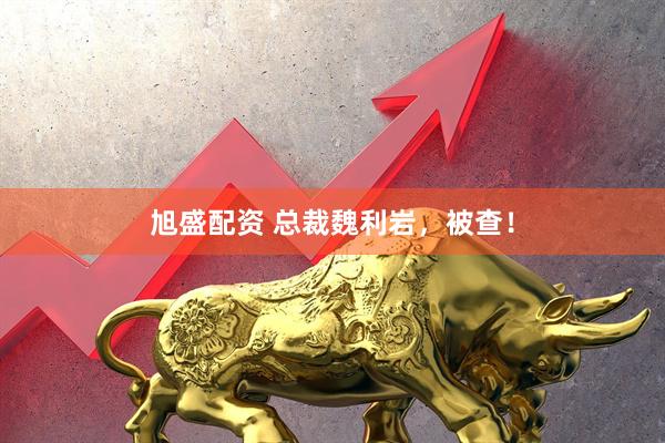 旭盛配资 总裁魏利岩，被查！