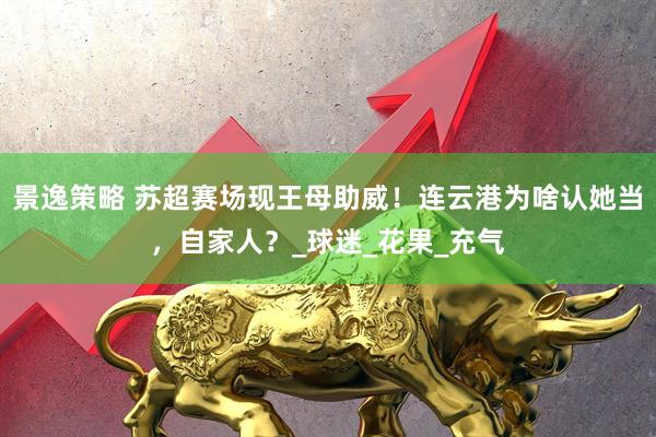 景逸策略 苏超赛场现王母助威！连云港为啥认她当，自家人？_球迷_花果_充气