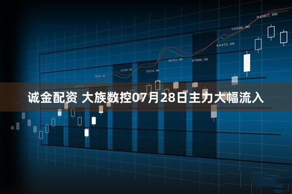 诚金配资 大族数控07月28日主力大幅流入